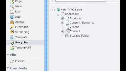 TYPO3 4.3 alpha: Undelete
