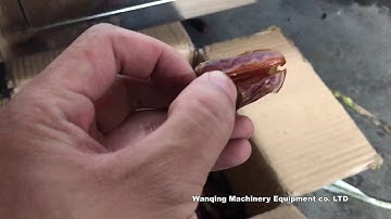 Full automatic pitting machine for removing the seeds of dates