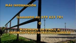 Campamento de verano, clases de equitación - Centro Ecuestre Los Olivares Logroño