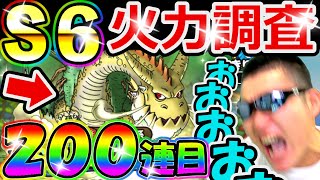 ドラクエタクト　フォレストドラゴS６,Lv110の火力調査！