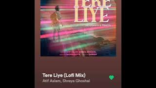 Tere Liye Lofi Mix song Atif Aslam And Shreya Ghoshal