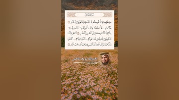 سورة غافر آية (41~43) القارئ #ابو_بكر_الشاطري