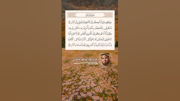 سورة غافر آية (41~43) القارئ #ابو_بكر_الشاطري