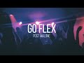 go flex - post malone (lyrics)