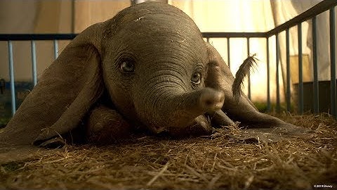 「ダンボ」MovieNEX　予告編