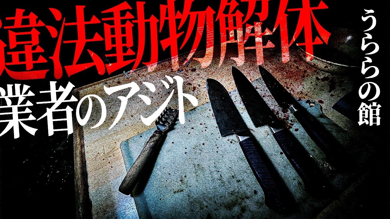 狂った女性が今も出入りしていました【失踪物件】