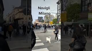 #milano #navigli #naviglimilano #lombardia