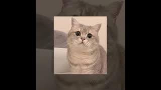 Wine Pon You x Schizophrenic - 1 Hour