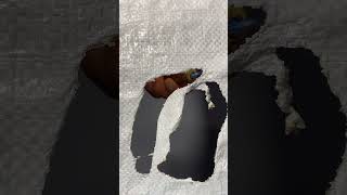 Plastic Bag In Fire-Dont Forget To Subscribe - Help Me Hit 1000