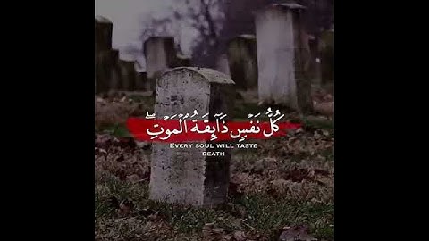 كل نفس ذائقة الموت 🌷 عبد الرحمن مسعد 💖 حالات واتس اب دينية قصيرة مؤثرة قرآن كريم تلاوة خاشعة
