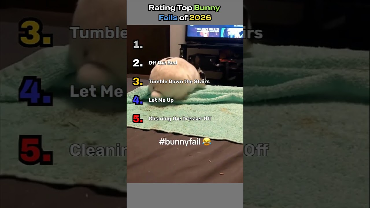 Rating Top Bunny Fails of 2026🐰😂