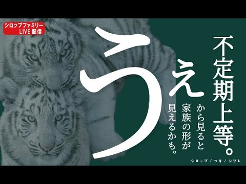 「9月17日」上から!シロップファミリーライブ配信