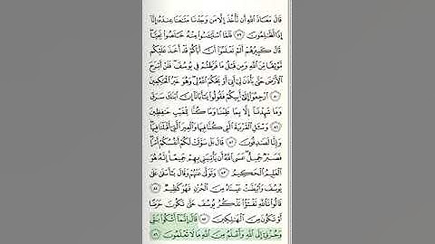 سورة يوسف - من الآية 77 حتى الآية 100