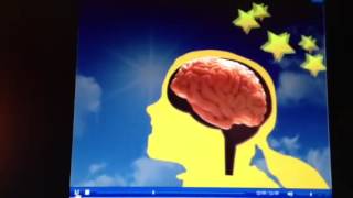Third Grade Performance Task Video Wealth