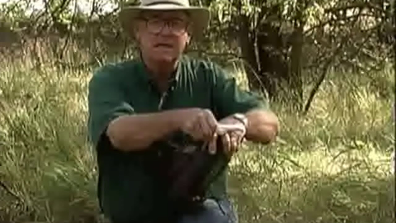 Turpin Tips Season 2 Episode 83 Sock Scent Dispersal