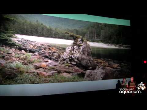 Stories from Gwaii Haanas - Kevin and Luke Borserio
