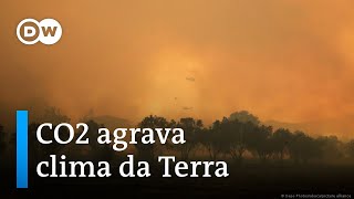 Notícias Em Áudio Humanidade Causa Mudanças Climáticas Sem Precedentes, Alerta Onu.