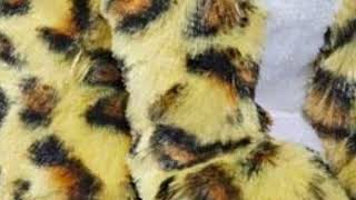 Lollys Stomach Growl Furreal Friends