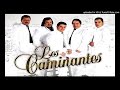 Cantina Mix - Los Caminantes ( Audio Official )
