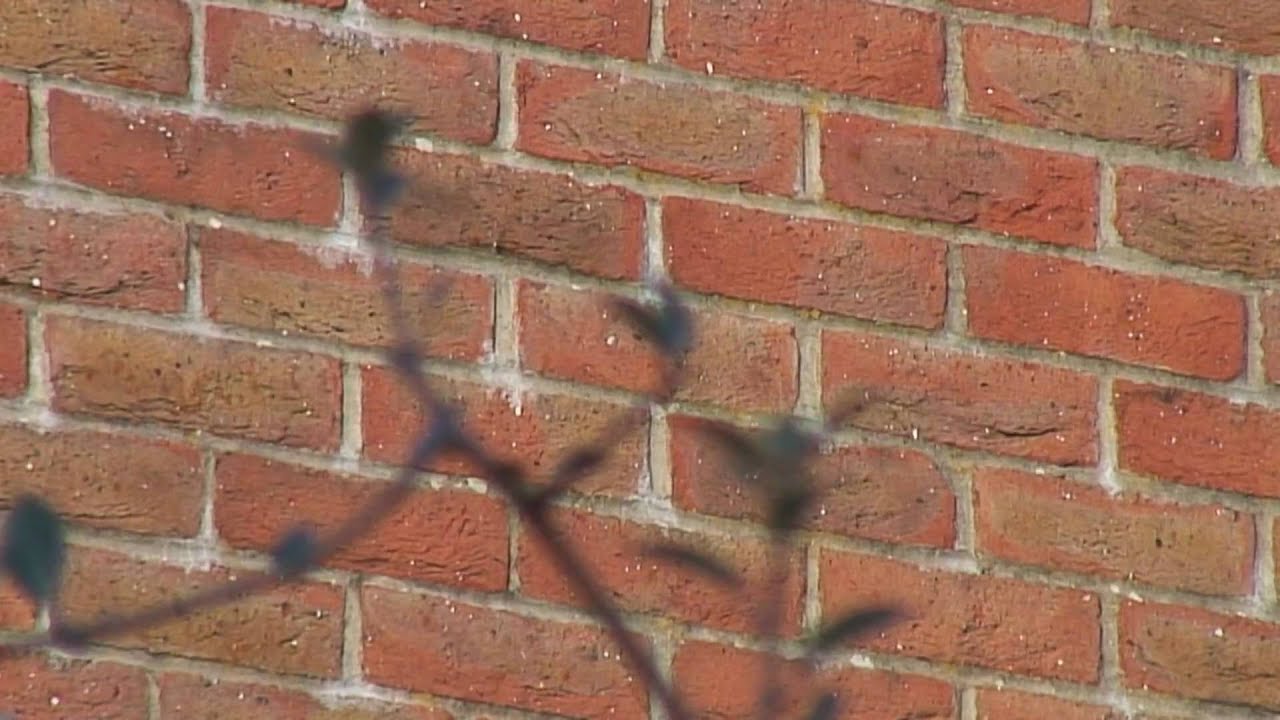 Sony HDR HC1 A1E Footage with Konig Fluid Head Tripod