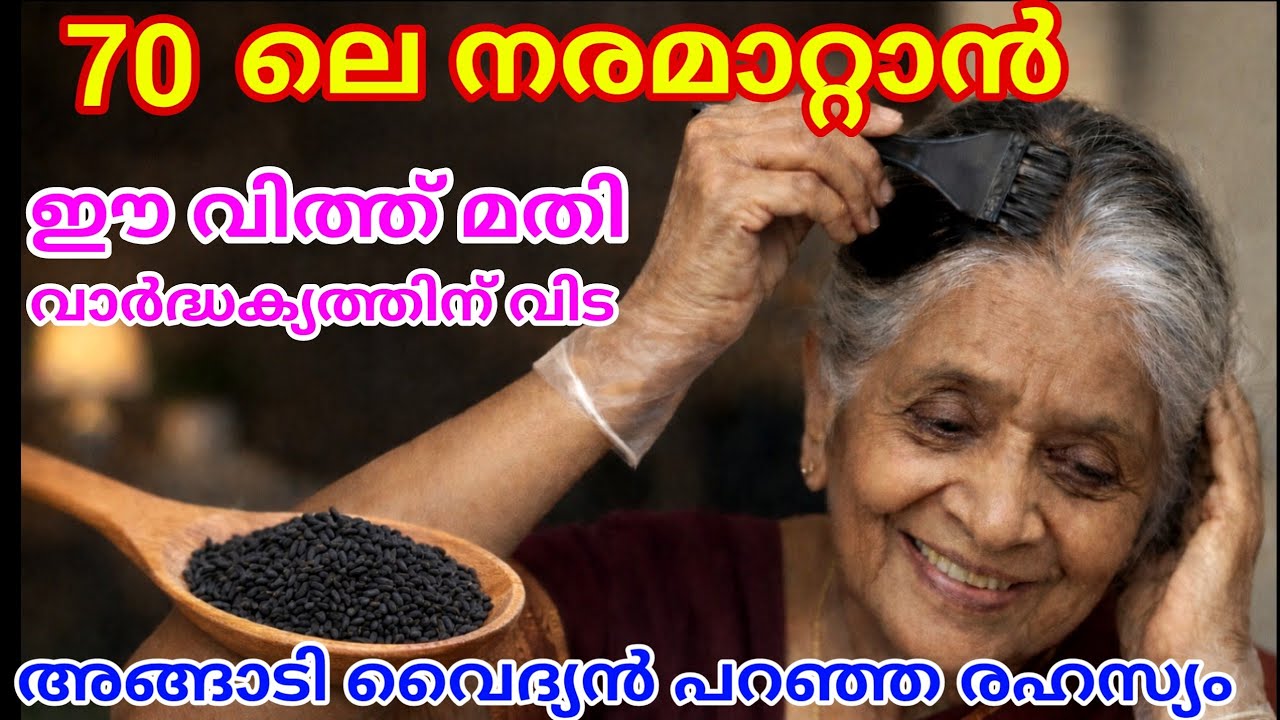 70 ലെ നര മാറ്റാൻ ഒരു സ്പൂൺ കരിഞ്ചീരകം മതി | എത്ര നരച്ച മുടിയും കട്ടക്കറുപ്പാക്കാം | Natural Hair Dye