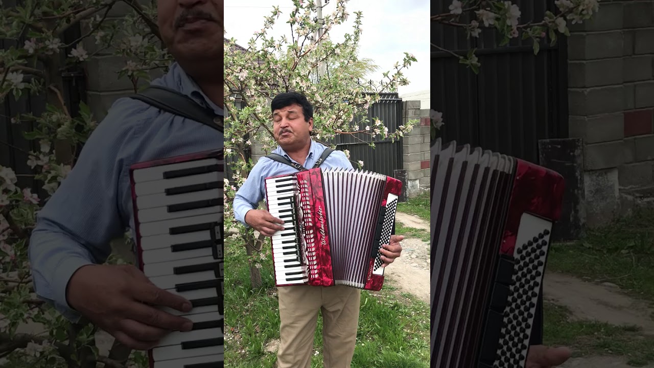 Жолдошбек Мамажанов—Алма гүлү🍎(Курманбек Бекташев)