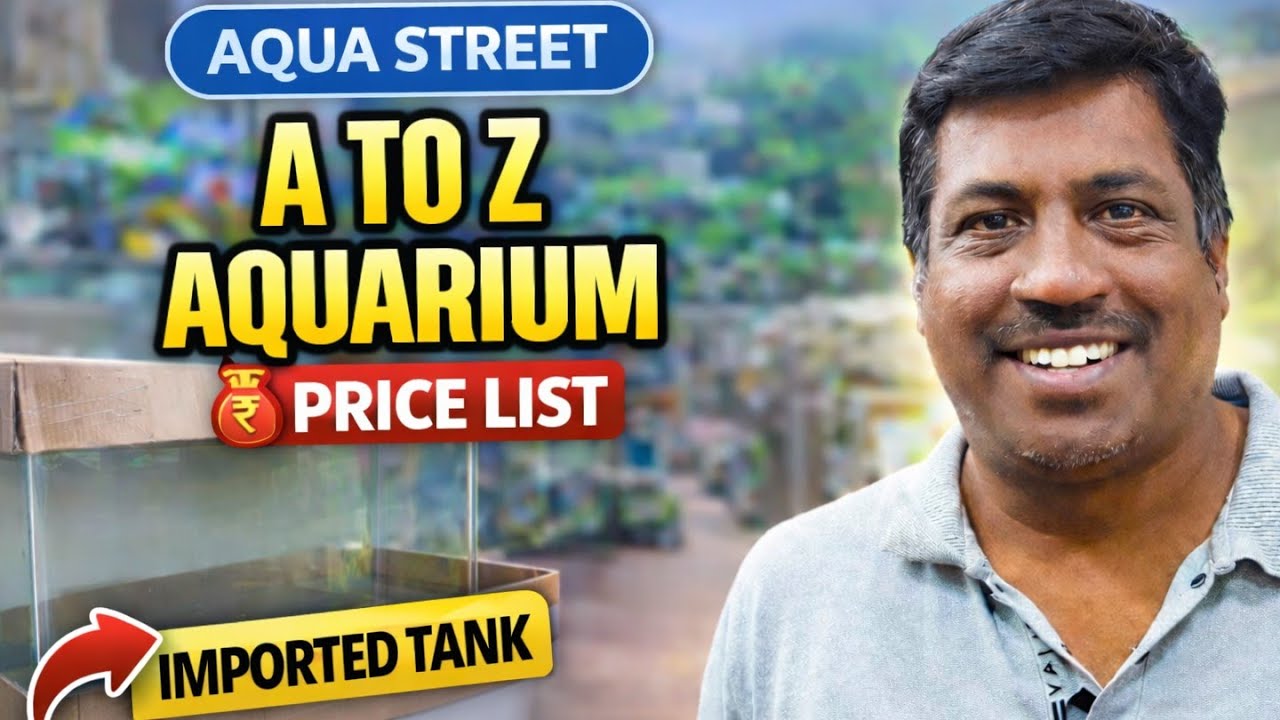 Aqua Street Chennai - Kolathur 🐠 | Aquarium Accessories, Tank, Food, Medicine | Full Shop Tour Vlog