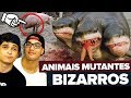 OS ANIMAIS MUTANTES MAIS BIZARROS DO MUNDO