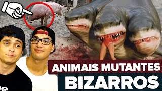 OS ANIMAIS MUTANTES MAIS BIZARROS DO MUNDO