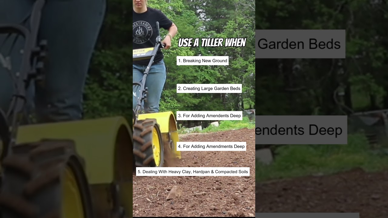 WHICH ONE? Tiller Versus Mini Cultivator 