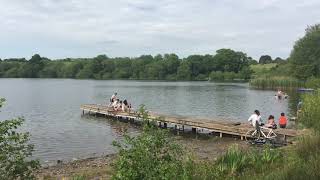 Pickmere Lake #naturereserve