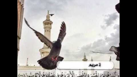 من اجمل التلاوات اللي سمعتها بحياتي للشيخ محمد أيوب رحمة الله