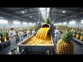 Inside the Pineapple Juice Mega Factory – Millions of Liters Made Every Day