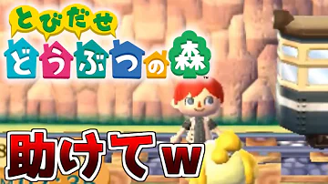 تحميل とびだせどうぶつの森バグ تحميل とびだせどうぶつの森バグ
