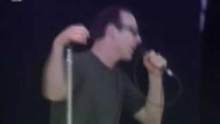 Bad Religion - 02 Stranger than fiction (Live 2002)