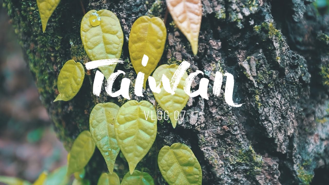 I ENDED UP TOTALLY WET!