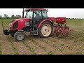 Zetor Proxima 6421 & Olt kultivator - kultivacija kukuruza - corn weeding 2020.