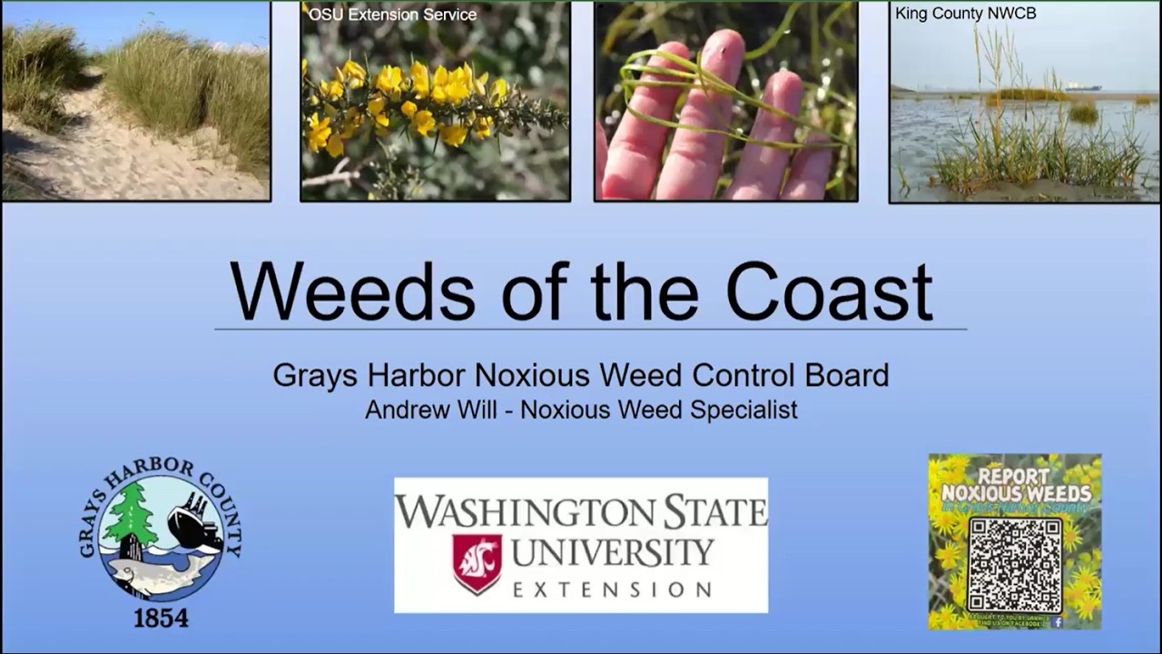 Weeds of Western Washington Costal Ecology