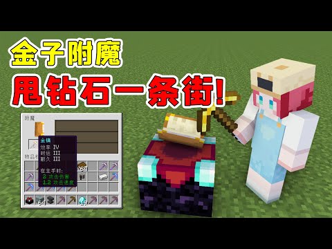 MC inventory: What players dislike, can help players make the best enchantments? [Miss Coke]