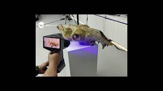 EinScan Libre - Digitizing Animal Bones into Detailed 3D Models