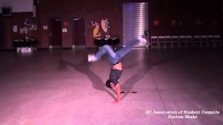 South Carolina Student Council Harlem Shake: The Ultimate School Dance
