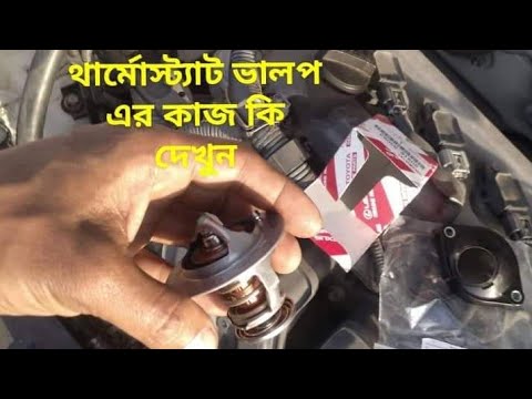 ভিডিও: ইজিআর ভালভ কি ছিল?