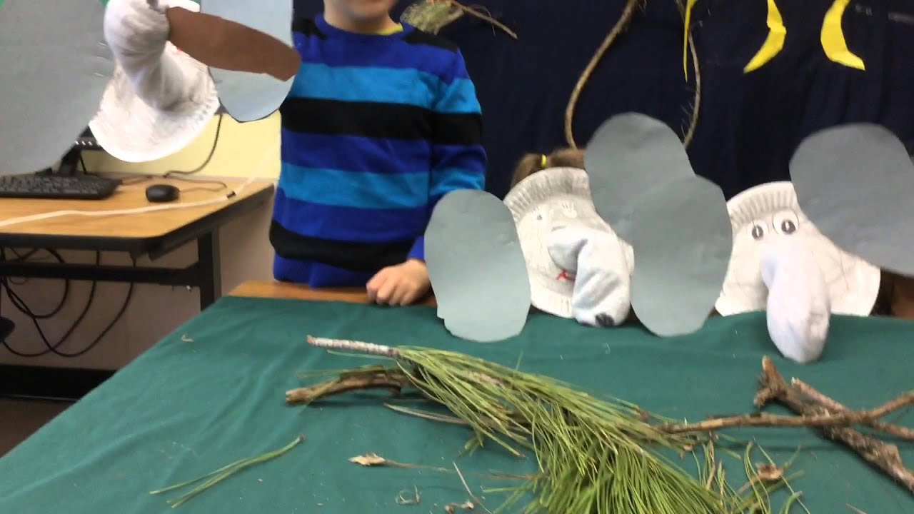 Fishtrap Story Lab 2014 2015 Football Elephants