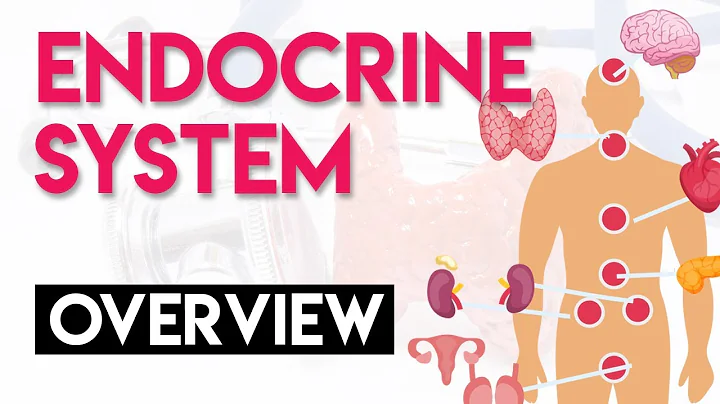 Overview and Anatomy & Physiology | Endocrine System (Part 1) - DayDayNews