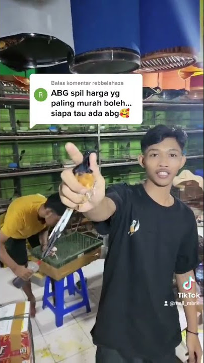 ORANG LAIN PADA SIBUK NGURUSIN SAYA, SAYA SIBUK PACKING WKWKWKW(1)