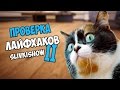 ПРОВЕРКА лайфхаков с канала Slivkishow 2 | Макс Брандт