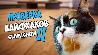 ПРОВЕРКА лайфхаков с канала Slivkishow 2 | Макс Брандт