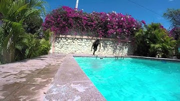 GoPro HERO4 Silver: Trying 25% slow motion with Flux enabled 720p:120fps