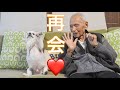 【96歳】じーちゃん㊗️退院👏再会できて大喜び👴❤️🐶くーちゃん飛び起き大興奮!