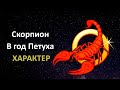 Скорпион в год Петуха - характер